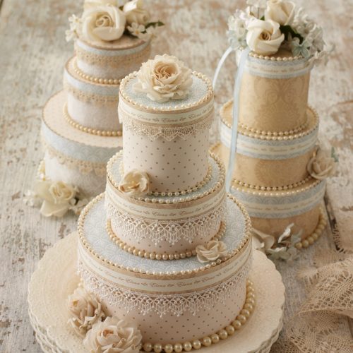 Bridal Shower Breakthrough - Cake Boxes Closed