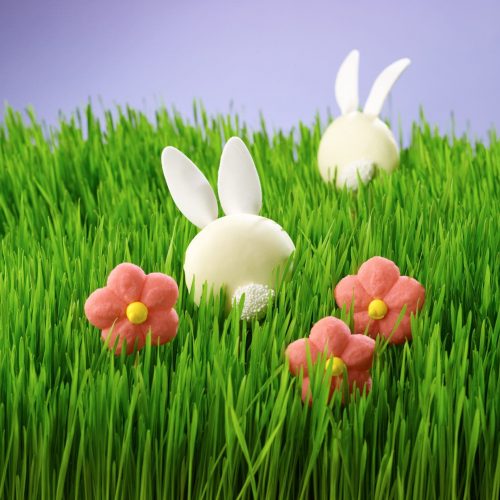 Poppyseed Bunnies Cookie Swap - Other Sweets