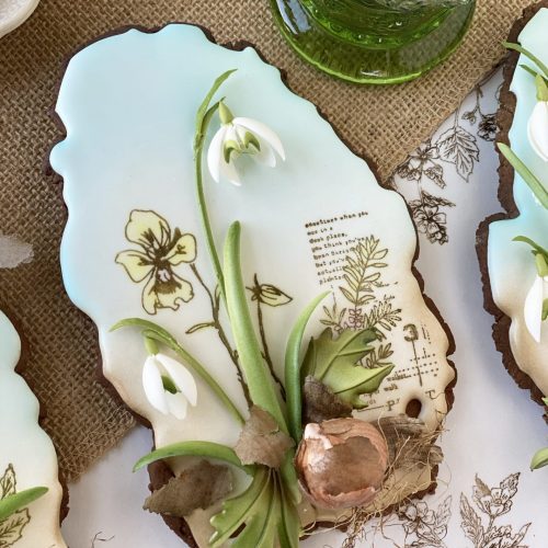 Snowdrop - Yet Another Single - 2-D Cookies Gallery