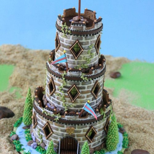 Gallery - 3-D Cookies - Castle Closer