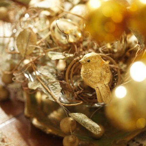 Bling in the New Year - Greg Rannells - Birds Further Away