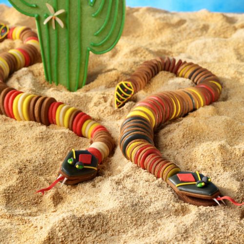 Snakes Ultimate Cookies 3 - Gallery - 3-D Cookies