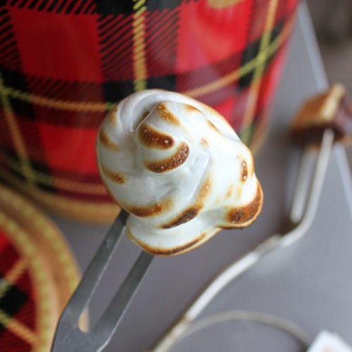 Campy Cookie-Cake Pops - Other Sweets