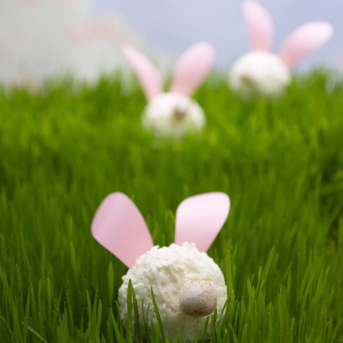 Cupcake Bunnies for MEHC - Other Sweets