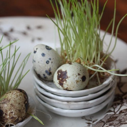 Bring in Spring - Quail Egg Appetizer